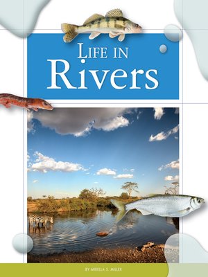 cover image of Life in Rivers
